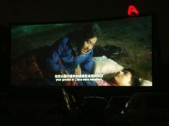 -枫花园汽车电影院(朝阳公园店)