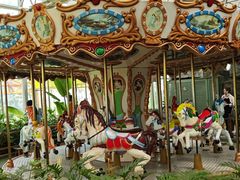 -南宫五洲植物乐园