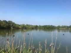 -长兴太湖图影湿地文化园