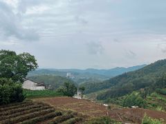 -乌石村