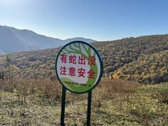 -灵山