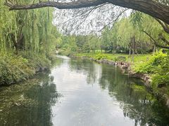 -上海滨江森林公园