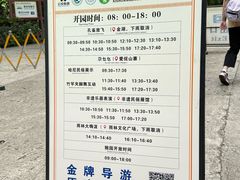 -西双版纳原始森林公园