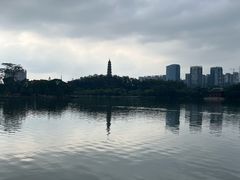 -顺峰山公园