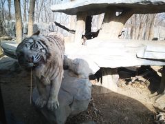 -北京野生动物园