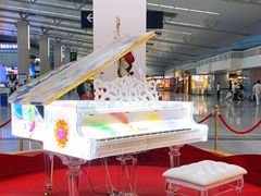 -福州长乐国际机场