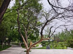 -渭滨公园