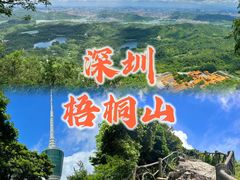 -梧桐山风景名胜区