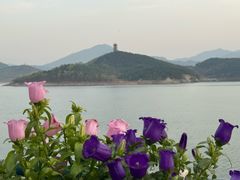 -望湖烤鱼