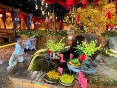 -老滇山寨•云南特色菜•地方菜•民族风情歌舞表演(金碧店)