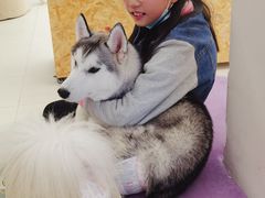 -怪兽屋·羊驼·猫咖·狗咖(俊华广场店)