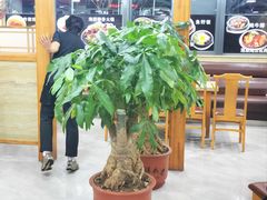 -真利味·脊骨火锅·正宗韩国料理(韩乐坊店)