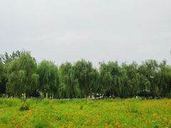 -滨湖塘西河公园