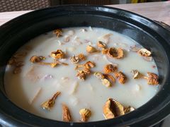 -探窝·竹笙椰子鸡(杨箕店)