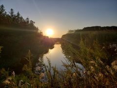 -上海国际音乐村