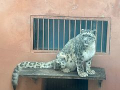 -青藏高原野生动物园