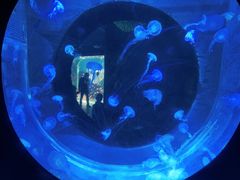 -南昌融创海世界