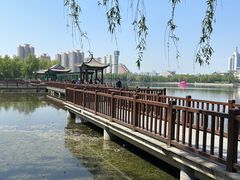 -莲花池公园
