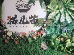 -老地方猫儿面(磁器口店)