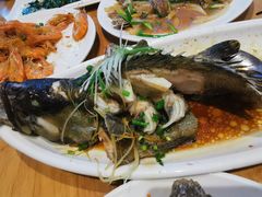 清蒸石斑鱼-南海渔家•海鲜•正宗海南菜(海棠湾店)