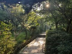 -贮水山儿童公园