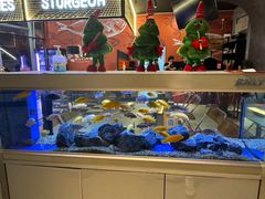 -黄鱼炙夜·烧烤·小龙虾(世茂缤谷店)