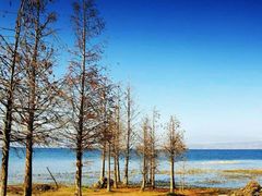 -大理洱源西湖景区