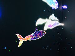 -暹罗海洋世界