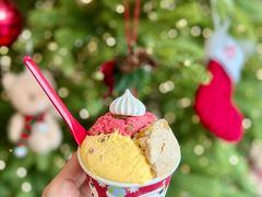 -Dal Cuore 达可芮冰淇淋(陕西北路店)