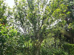 -天悦阁海景酒廊