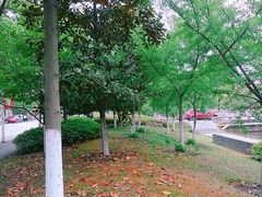 -江南大学(蠡湖校区)