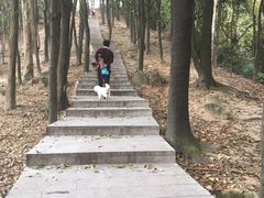-火炉山森林公园