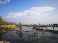 -洱海月湿地公园
