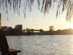 -飞来湖湿地公园