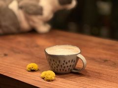 -后院儿·精酿·塔罗Happy Bar