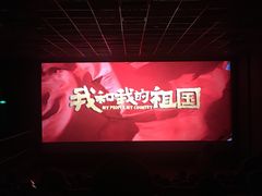 -华美国际影城(旧宫永辉店)