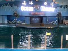 -苏州海洋馆
