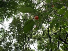 -钟山体育运动公园