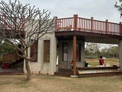 -宝安西湾红树林湿地公园