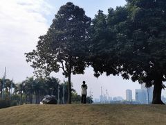 -南宁南湖公园
