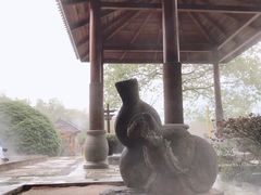 -洪湖悦兮半岛国际温泉度假村