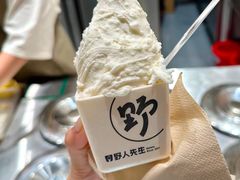 -野人先生现做冰淇淋(北京王府井东方新天地店)