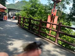 -羚羊峡古栈道森林公园