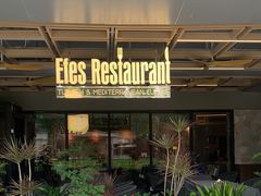 -Efes Turkish & Mediterranean Cuisine 艾菲斯餐厅(陆家嘴店)