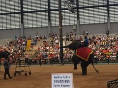 -东芭乐园