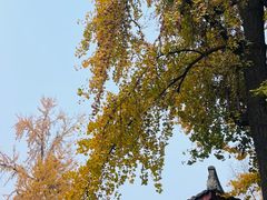 -平安桥天主教堂