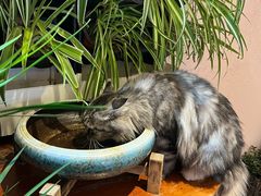 -慢丽江·云南野生菌土鸡锅(西山店)