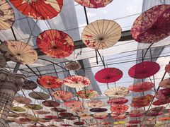 -广东花都香草世界旅游度假区