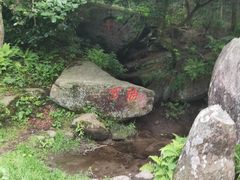 -庐山风景区花径公园