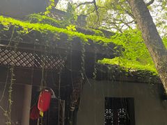 -富春桃源风景区
